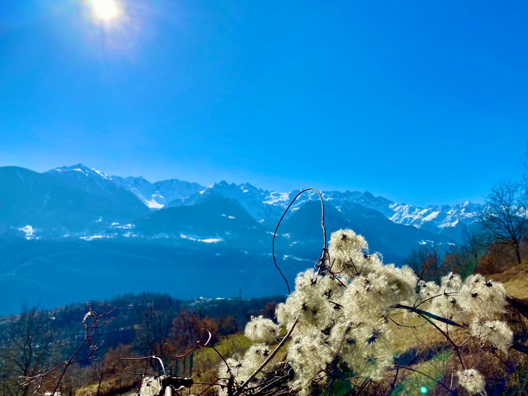 Casa Giuliana Lägenhet Teglio Exteriör bild